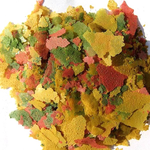 bulk tropical fish food flakes