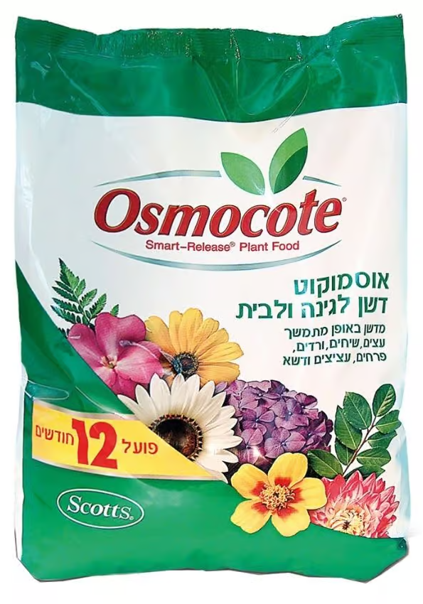 12 شهر1 12 شهر1