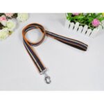 SmartWay Titan Flow38 Leash